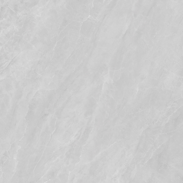 HPL80031