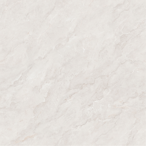 HPG8030016金叶米杏